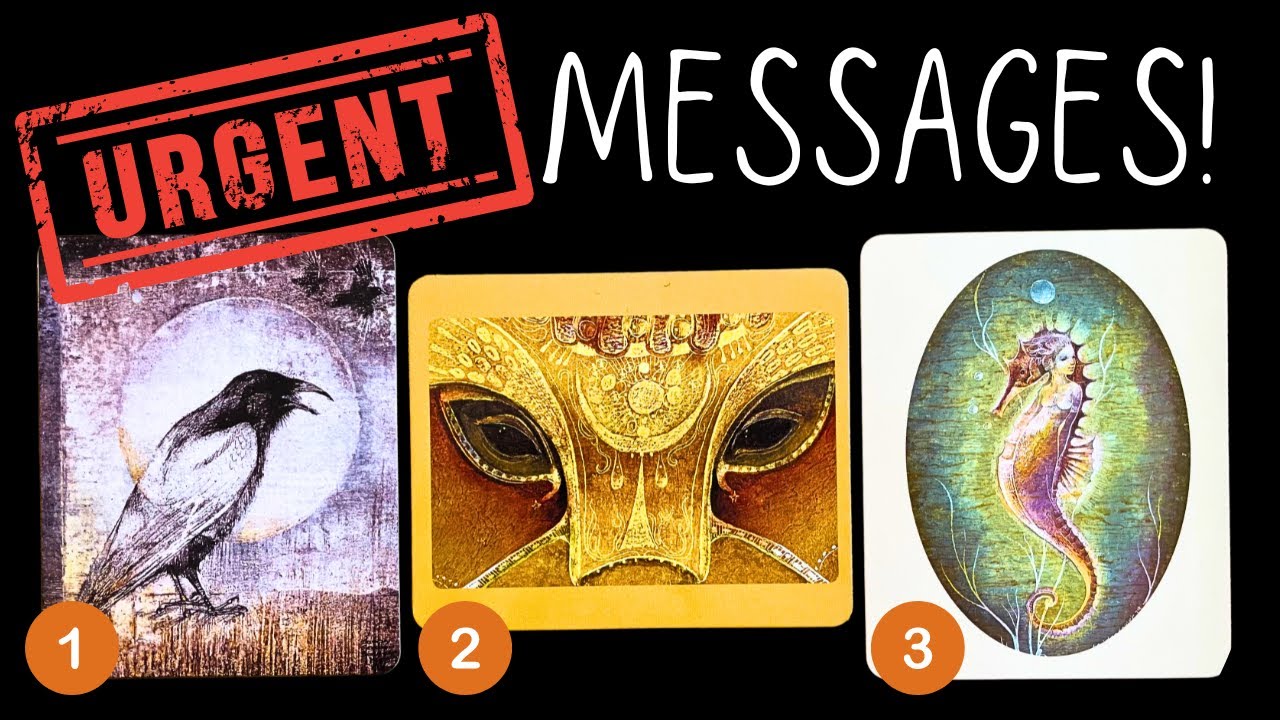 👉Urgent MESSAGES From Your Spirit Guides?!✨🕯️🫶🏼☀️✨pick a card reading 🃏 tarot card reading