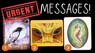 👉Urgent MESSAGES From Your Spirit Guides?!✨🕯️🫶🏼☀️✨PICK A CARD 🃏