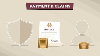 Pet Insurance 101