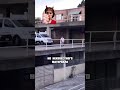 #andreynik2006 #freerunning #parkour #pkfr #коллаб #дуэт