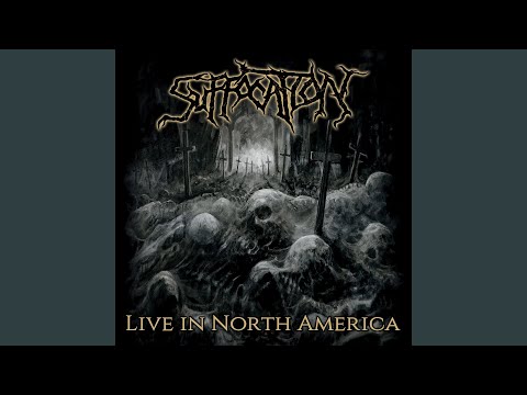 Dismal Dream (Live)