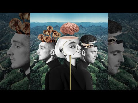 Clean Bandit - Symphony ft. Zara Larsson | DOLLARMAN Best Music 2024