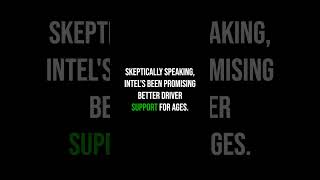 Crimson Desert Runs on Intel ARC… But the Face Is Still Broken