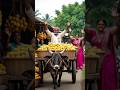 🍋 The Farmer and His Mango Farm | Hard Work Always Pays Off 🌳#sehar