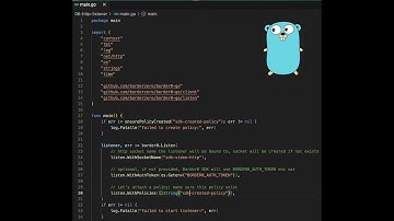 Getting started with the Border0 Go SDK