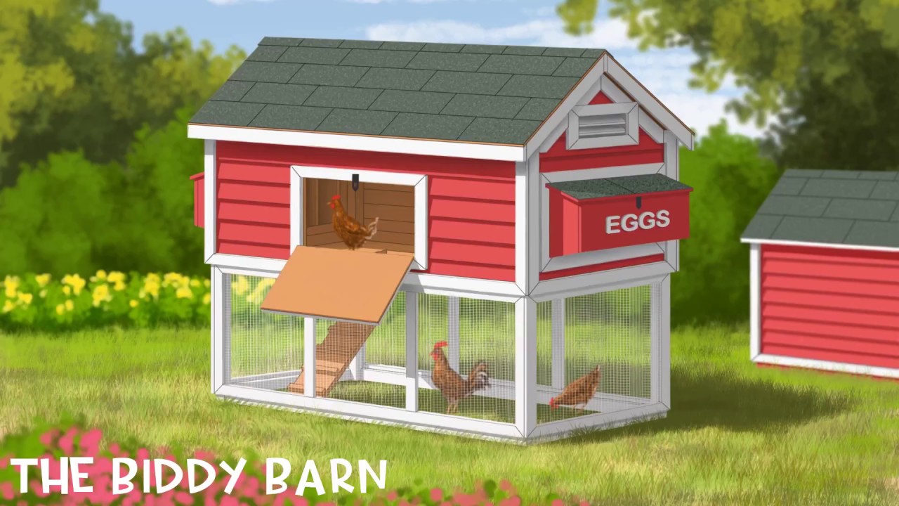 Chicken Coop Plans Biddy Barn YouTube