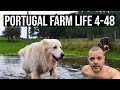 Would YOU do it??? Christmas Special ❤️🎅🎄 PORTUGAL FARM LIFE S4-E48