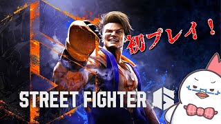 【STREET FIGHTER 6】格ゲー初心者ニワトリ参戦す！【ファイター魂】