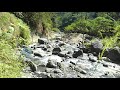 Pemandangan Alam Indah Di Tepi Sungai Mengalir Tenang Di atas Gunung -- Secuil Surga Di Dunia