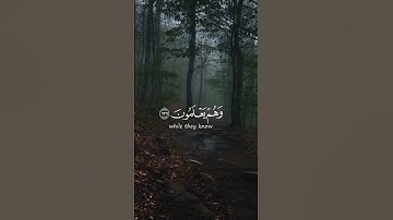 قرآن كريم  القارئ احمد العجمي