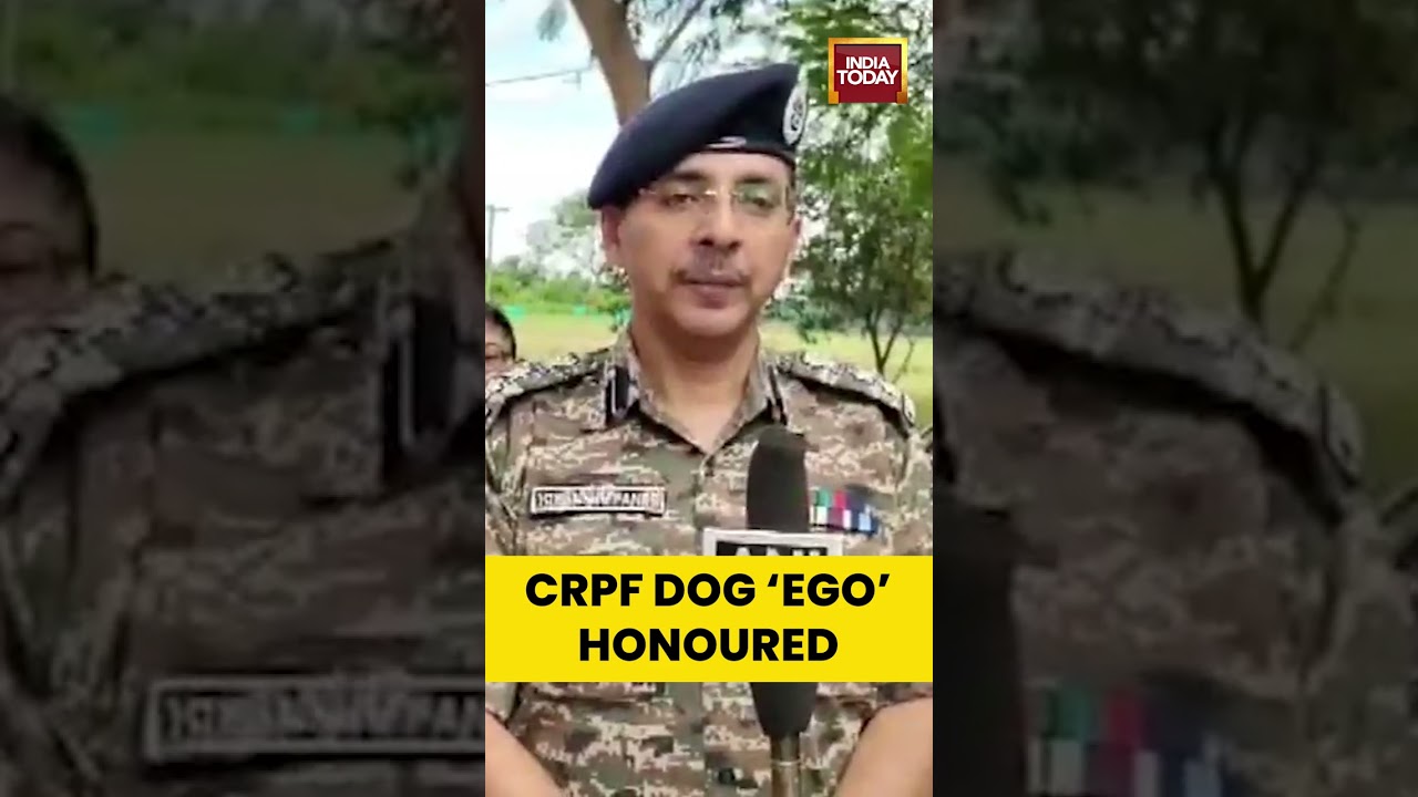 CRPF Dog ‘Ego’ Honoured With Full Military Farewell In Chhattisgarh