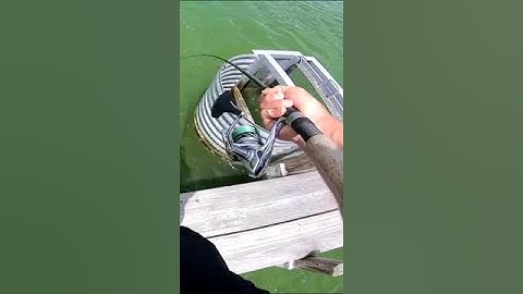 Insane baitcasting setup casts ultralight#shorts