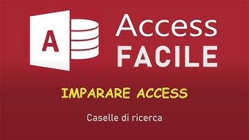 Access Facile - Caselle di ricerca o di filtro
