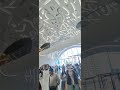 Museum of future #dubai #fun #shorts