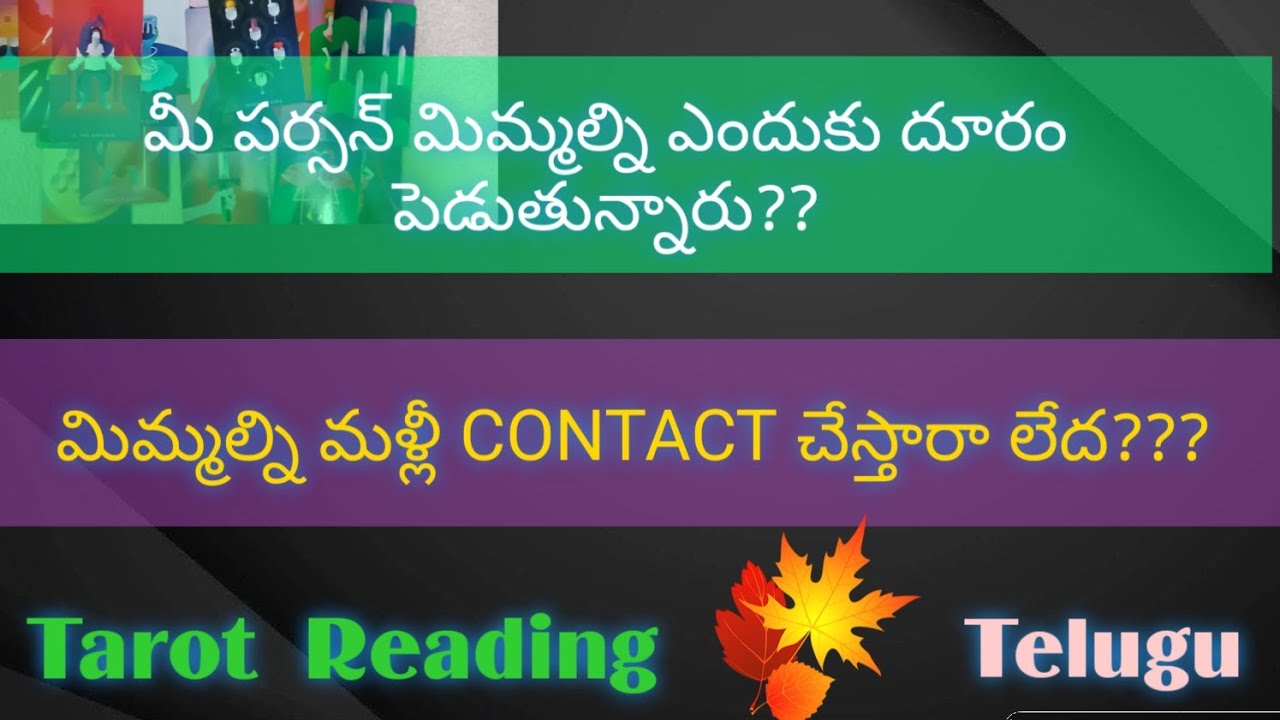 💌మీ పర్సన్ మిమ్మల్ని ఎందుకు దూరం పెడుతున్నారు?మిమ్మల్ని మళ్లీ కాంటాక్ట్ చేస్తారా లేదా?Universe msgs