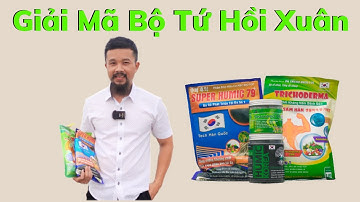 Giải Mã Bộ Tứ Hồi Xuân- Kết Hợp Hoàn Hảo 4 Sản Phẩm Super Humic 79, Trichoderma, Rong Biển, Fulvic.