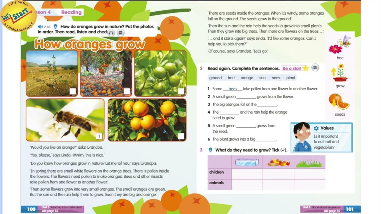 Academy stars 2 unit 2 test. Academy stars 2 unit 2 test