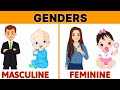 Genders | Masculine gender and Feminine Gender | learn about gender | Gender for class 1 | #gender