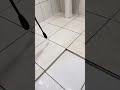 Decidi limpar meu banheiro
