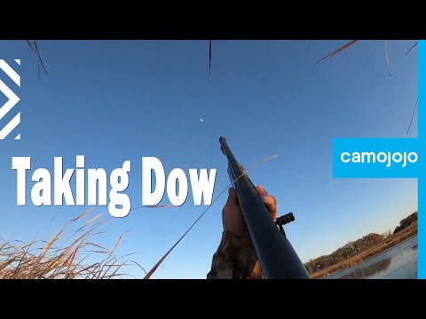 【Camojojo】Jump Shooting: An Expert Guide to Taking Down Ducks in Large Water Bodies