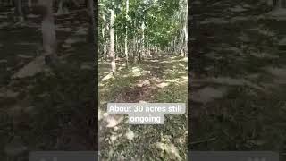 About 30 acres ongoing #farmershelp #fypシ゚viral #rubberfarm #4stroke #farminglife #farmershelp