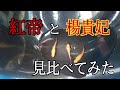 紅帝メダカと楊貴妃メダカを見比べてみた
