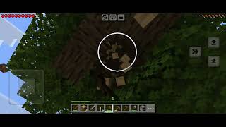 playing Minecraft because you gave me 10 subscribe