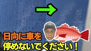 車のガラスのウロコ取りをド定番の方法でやったらこんな感じになりました。