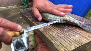 Crappie - Clean and Cook - A Total different way for cleaning fish and cooking them