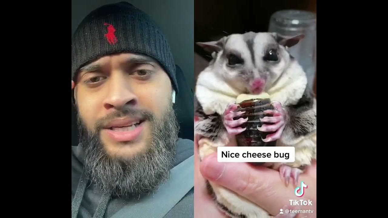 TeeManTV Cheesy Bug! YouTube