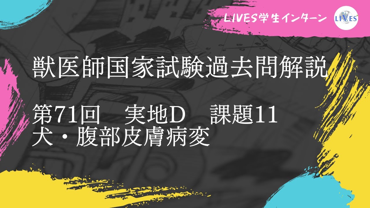 獣医師国家試験過去問解説【第71回実地D問題・課題11】 - YouTube