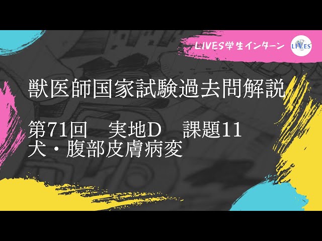 第71回 第72回 獣医師国家試験過去問題集 Amazon.co.jp: 第72回獣医師国家試験過去問題集 : 髙橋映江, 姫野祥子