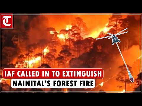 IAF helicopters deployed to extinguish the forest fires in Uttarakhand’s Nainital