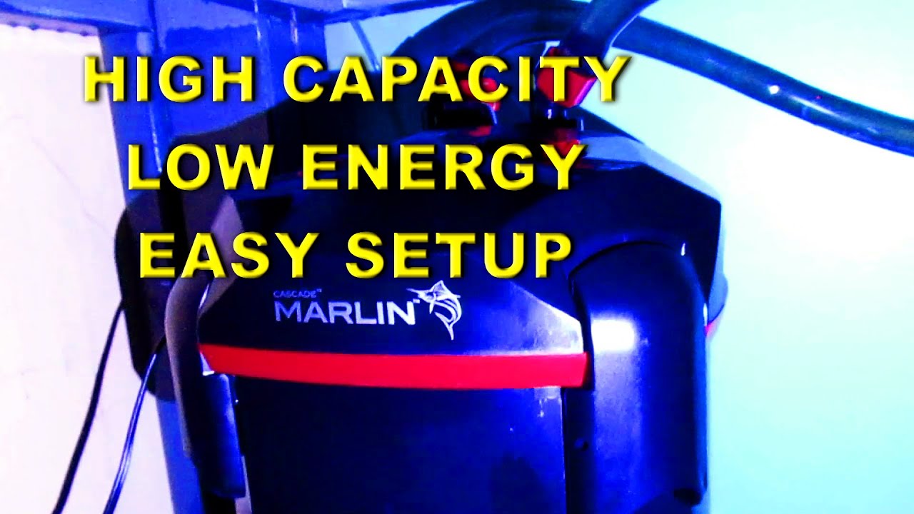 Marlin Cascade Canister Filter Cleaning Setup YouTube