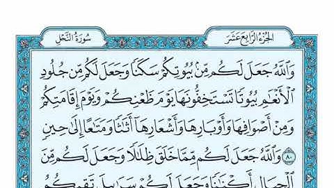 الحزب الثامن والعشرون من القرآن الكريم _ بصوت الشيخ عبد الرحمن السديس و سعود الشريم