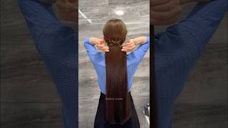 Hairstyle Ponytail