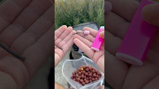 Les wafters ? Tu valides ? 🎯#magnifixcarp #mainline #wafter #carphunter #carprigs