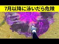 世界の異常に大きなモノ40+選