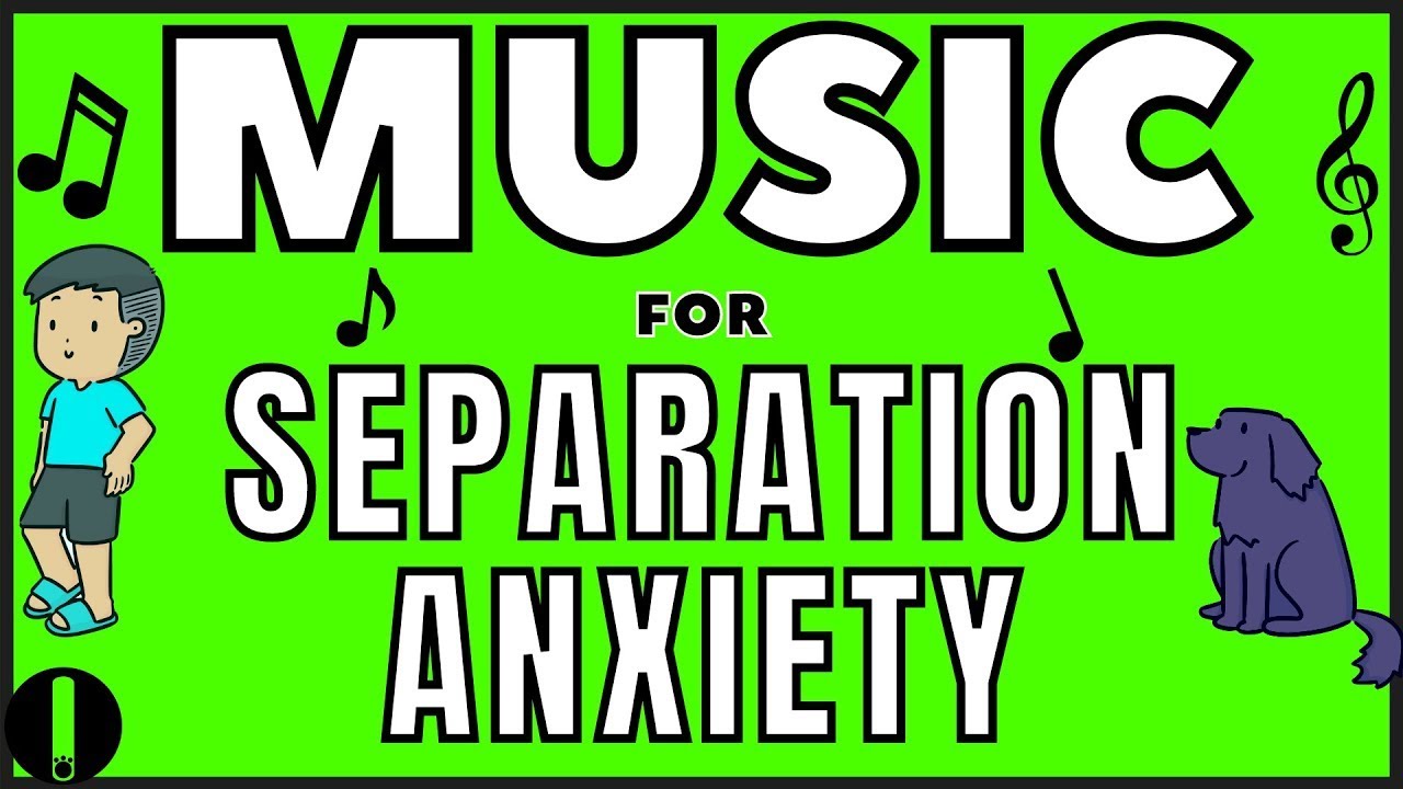 Meditation Music For Dogs With Separation Anxiety YouTube