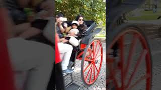 Романтическое Место В Брюгге - Minnenwaterpark