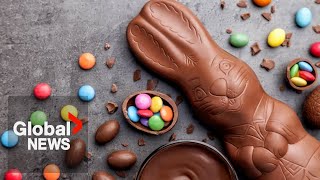 Famous Hopping-high chocolate prices: What a cocoa shortage means for your Easter basket Wealth