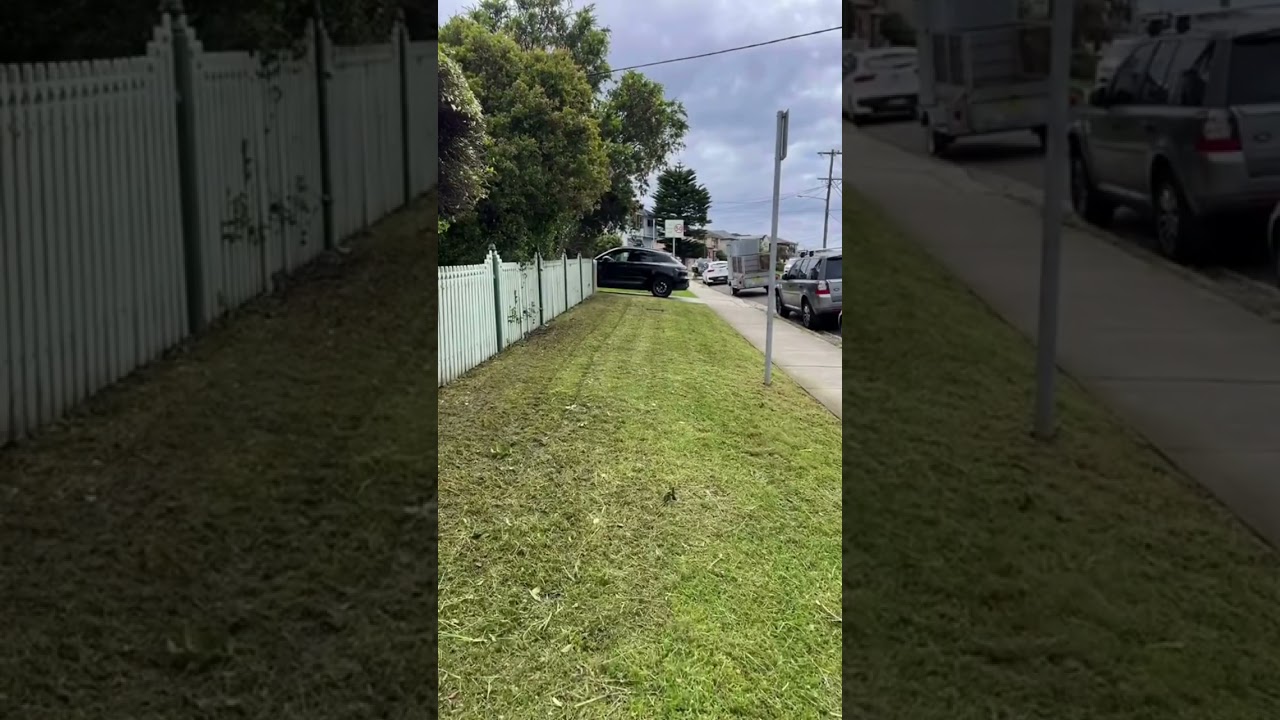 Yard Clean-Up Done Right! From cluttered and messy to clean and inviting—we’ll get your yard looking Yard Clean-Up Done Right! From cluttered and messy to clean and inviting—we’ll get your yard looking
