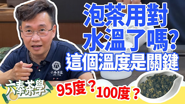 【六奉茶學】泡茶用對水溫了嗎？這個溫度是關鍵！不同茶葉適合的熱泡溫度 - 天天要聞