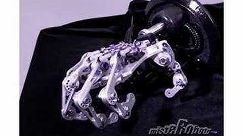 Human Robotic Hand