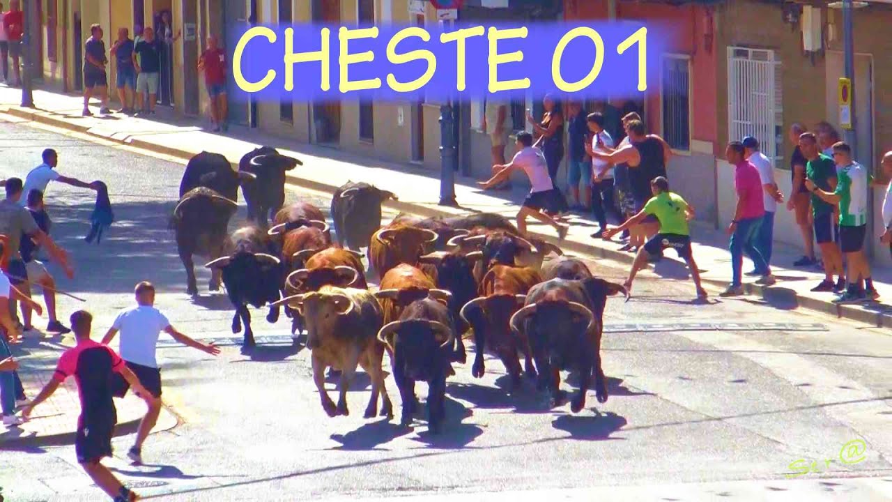 ✅2023 CHESTE 01 ENCIERRO 20 Toros  JUNTOS