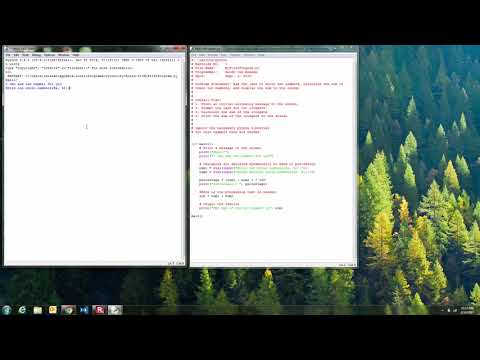 Running a Python Script