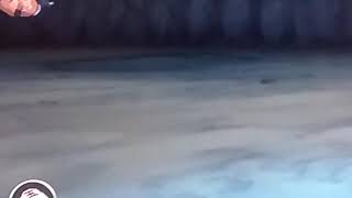 Naruto. Introduction