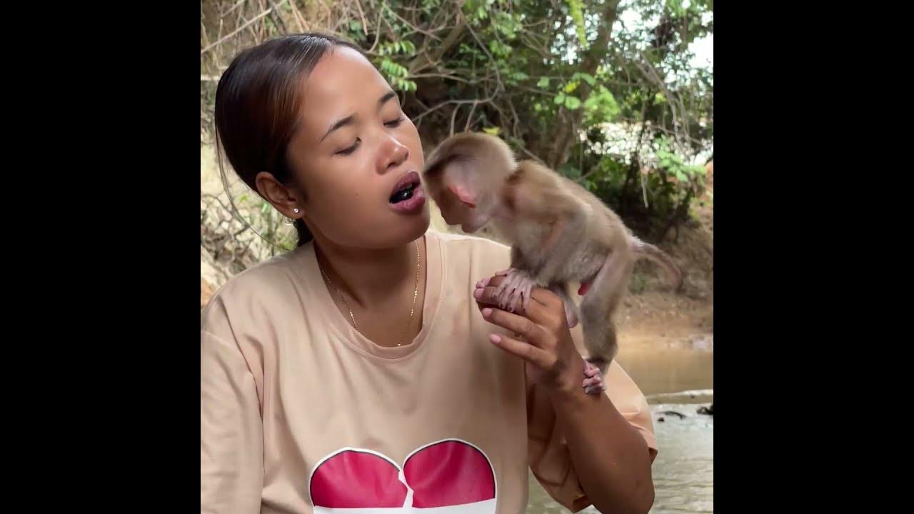 #baby monkey #baby monkeys #baby monkey Attacked #baby monkey crying #