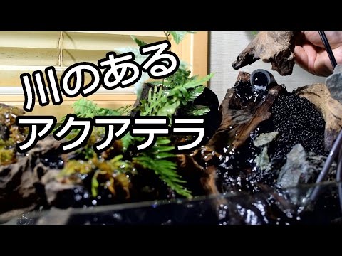 【受注生産】 小川のあるアクアテラリウム 60センチ水槽 受注生産】 小川のあるアクアテラリウム 60センチ水槽