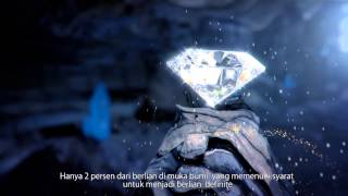 ADELLE JEWELLERY - Adelle's Definite | The One In a Million